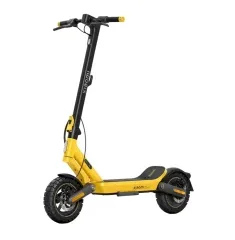 Electric Scooters