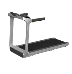 Walkingpad