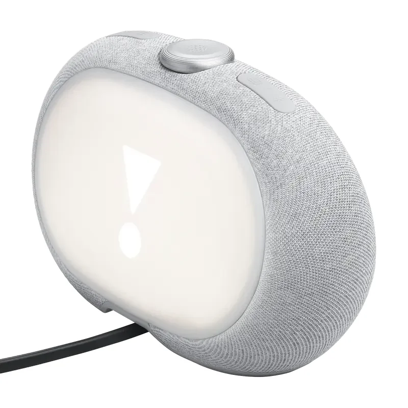 Bluetooth Speaker JBL Horizon 3, Grey — foto 7