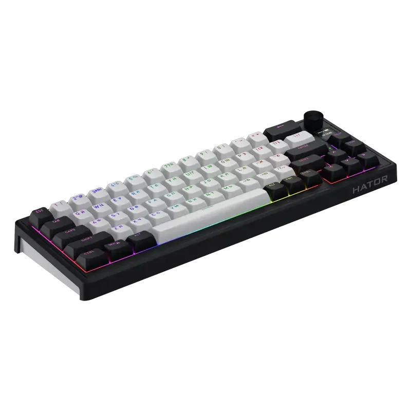 Keyboard HATOR Skyfall 65 MAG ULTIMA 8K, Wired / Wireless, Black | White — foto 5