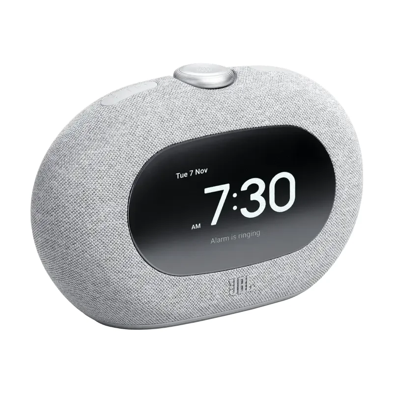 Bluetooth Speaker JBL Horizon 3, Grey — foto 3