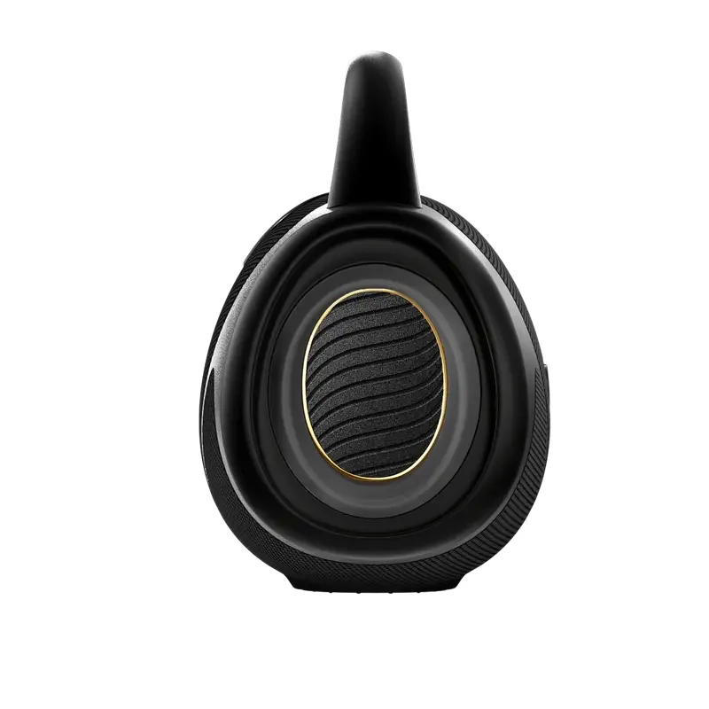 Portable Speakers VoyageBoom Hisense, Black — foto 5