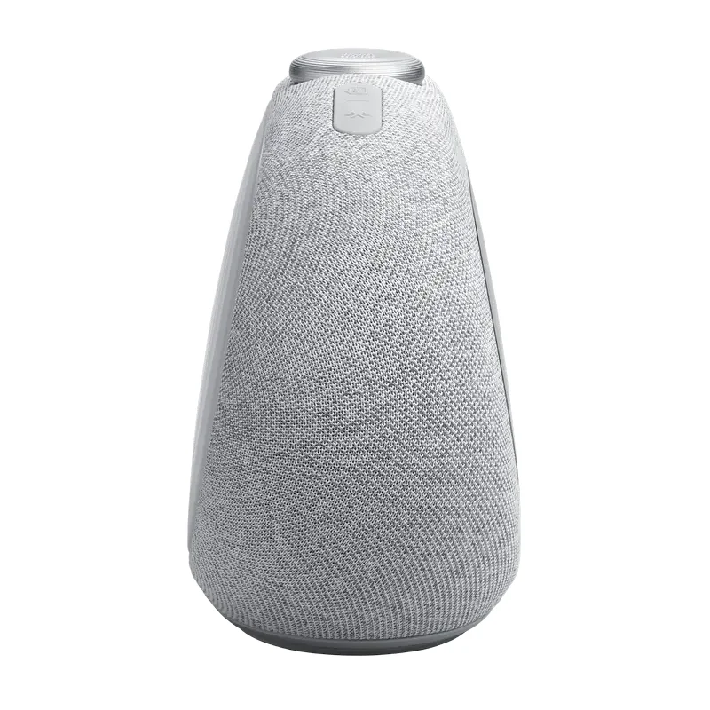 Bluetooth Speaker JBL Horizon 3, Grey — foto 5