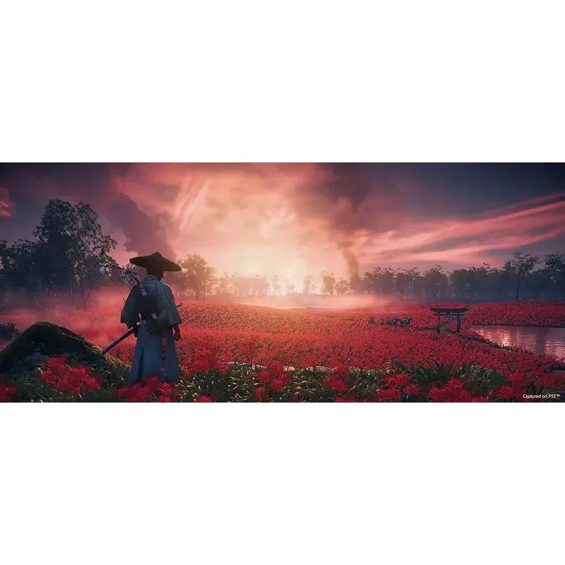 ActiVision Ghost of Tsushima - Director's Cut, Acțiune și aventură, PlayStation 5, Disc — foto 2
