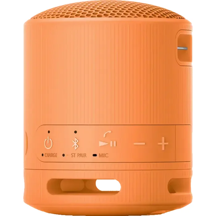 Портативная колонка SONY XB100, Оранжевый — foto 6