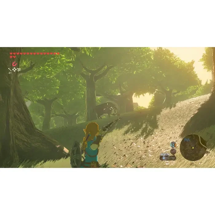Nintendo The Legend of Zelda: Breath of the Wild, Action & Adventure, Nintendo Switch 2, Cartridge — foto 4