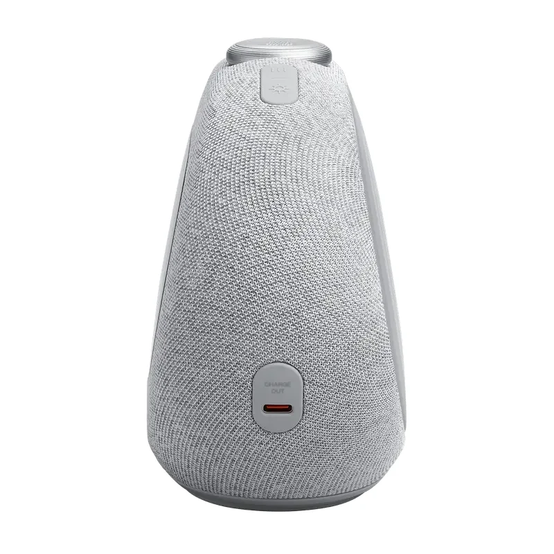 Bluetooth Speaker JBL Horizon 3, Grey — foto 6