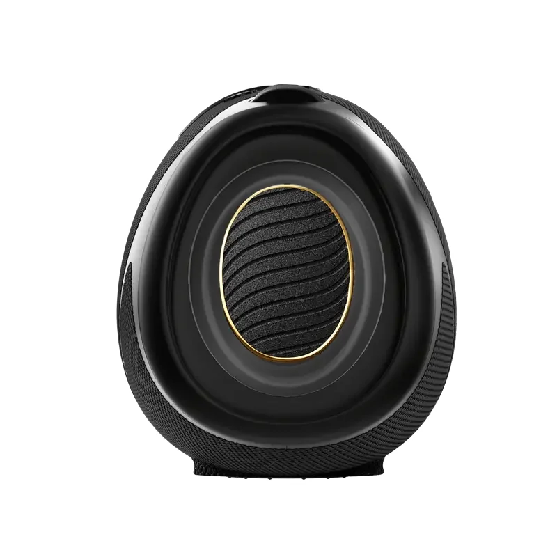 Portable Speakers WeBoom Hisense, Black — foto 11