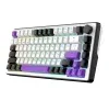 Keyboard HATOR Hellyberry HK75 Wireless, Wired / Wireless, White — foto 2