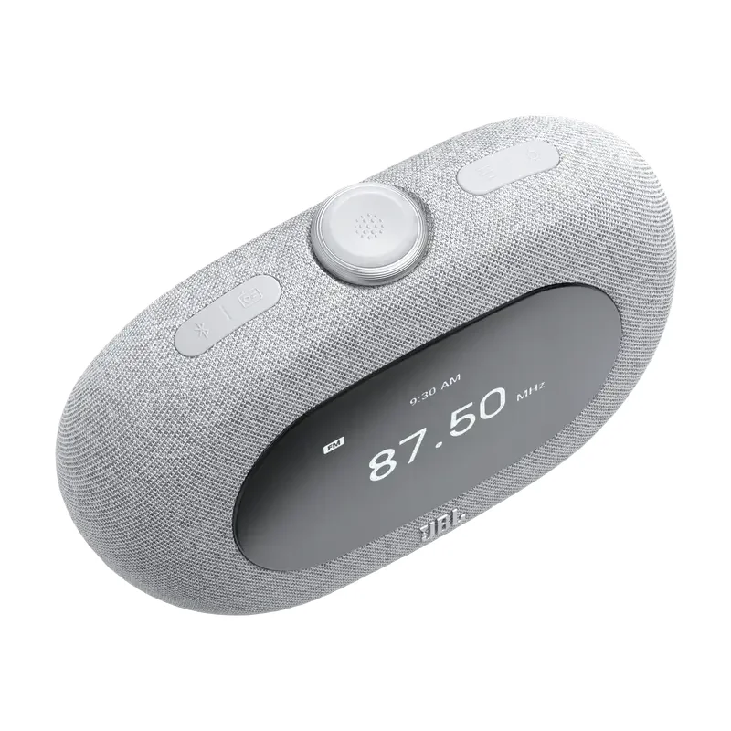 Bluetooth Speaker JBL Horizon 3, Grey — foto 8
